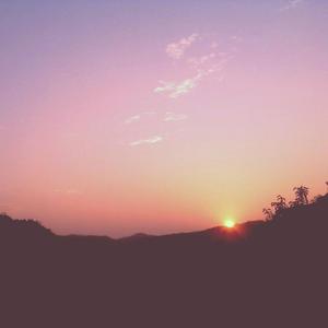 米塔裙底内裤颜色
